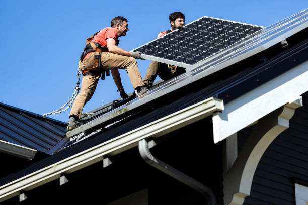 Best Roof Moss and Algae Removal  in Bellerose Terrace, NY